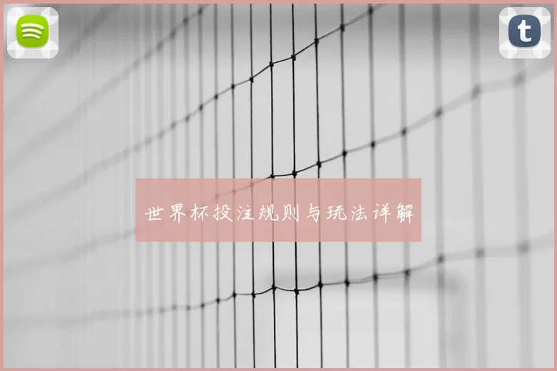 世界杯投注规则与玩法详解