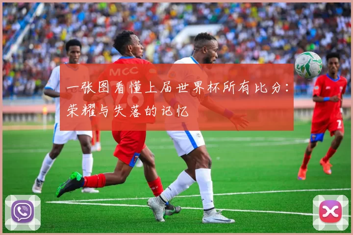一张图看懂上届世界杯所有比分:荣耀与失落的记忆