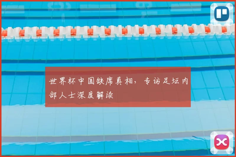 世界杯中国缺席真相,专访足坛内部人士深度解读