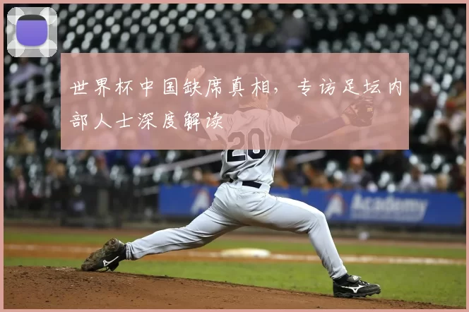 世界杯中国缺席真相，专访足坛内部人士深度解读