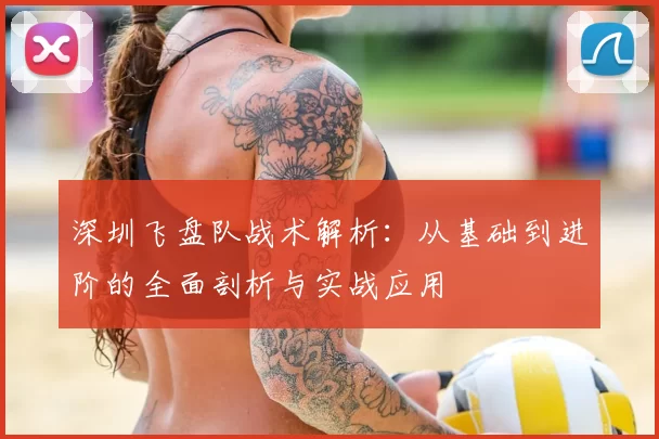 深圳飞盘队战术解析:从基础到进阶的全面剖析与实战应用