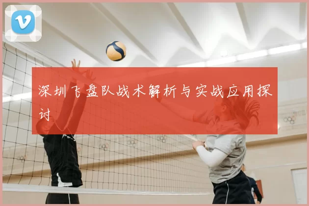 深圳飞盘队战术解析与实战应用探讨