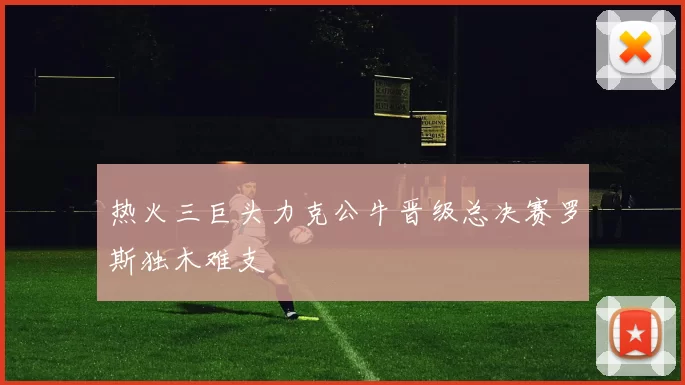 热火三巨头力克公牛晋级总决赛罗斯独木难支