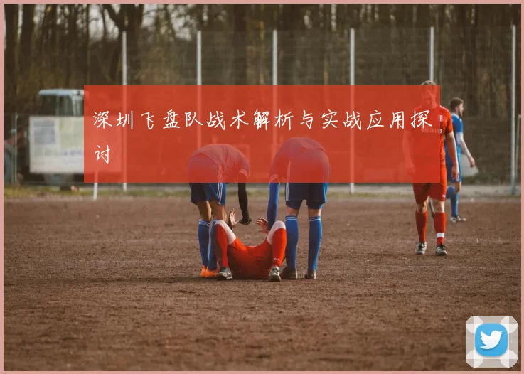 深圳飞盘队战术解析与实战应用探讨