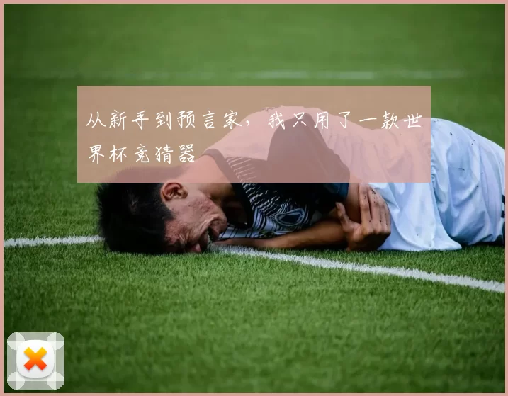 从新手到预言家,我只用了一款世界杯竞猜器