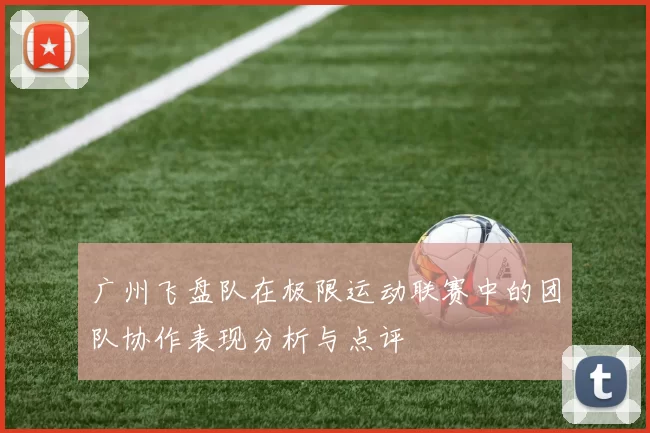 广州飞盘队在极限运动联赛中的团队协作表现分析与点评