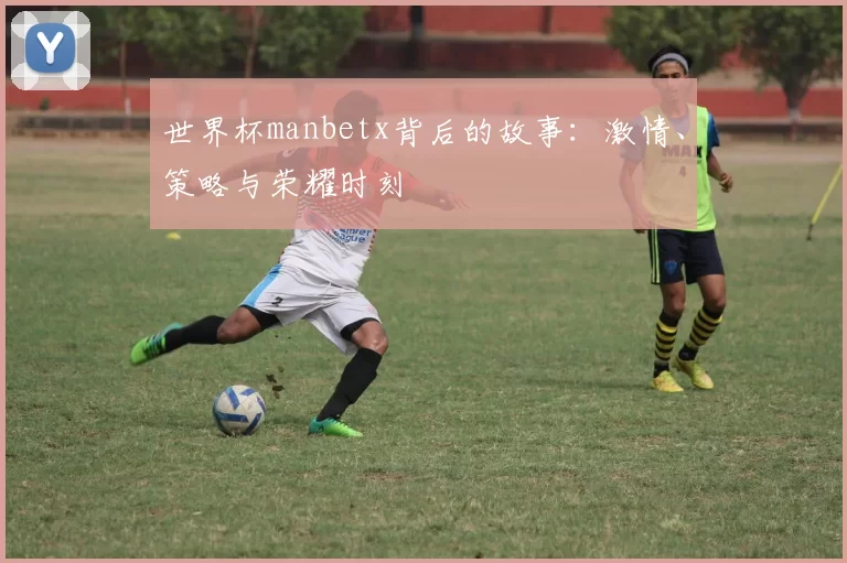 世界杯manbetx背后的故事:激情、策略与荣耀时刻