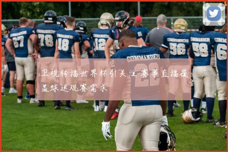 卫视转播世界杯引关注 赛事直播覆盖球迷观赛需求