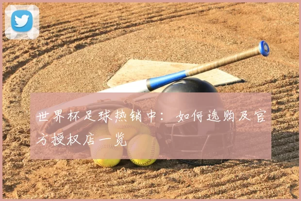 世界杯足球热销中：如何选购及官方授权店一览