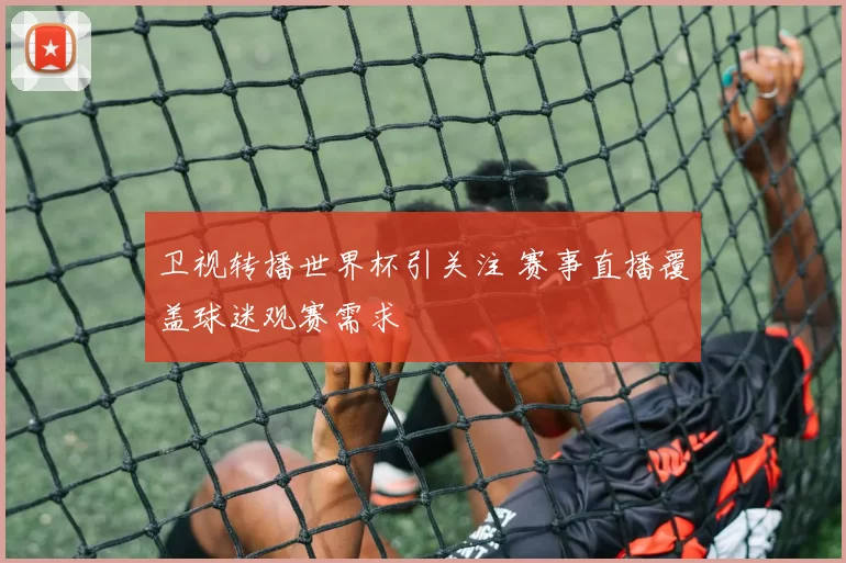 卫视转播世界杯引关注 赛事直播覆盖球迷观赛需求