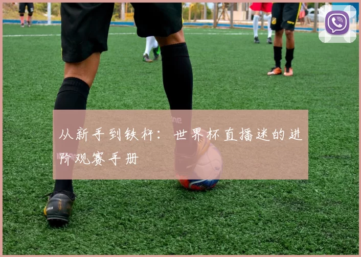 从新手到铁杆:世界杯直播迷的进阶观赛手册