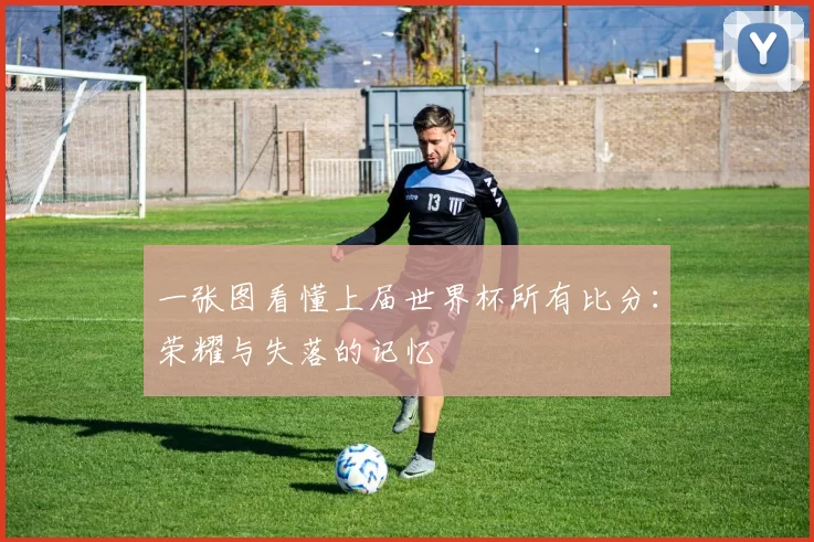 一张图看懂上届世界杯所有比分：荣耀与失落的记忆