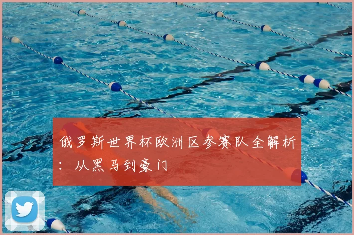 俄罗斯世界杯欧洲区参赛队全解析：从黑马到豪门